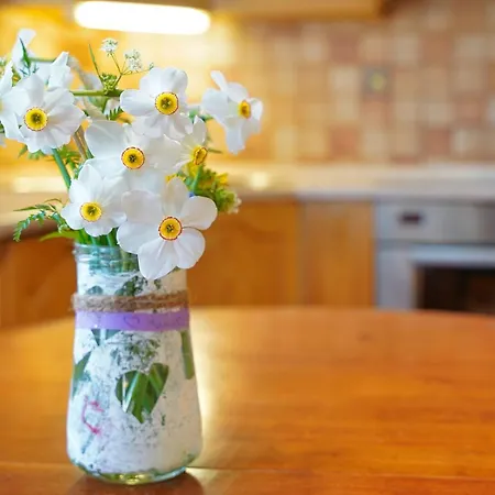 Appartamento Pr' Pavleto *