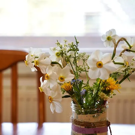 Apartment Pr' Pavleto