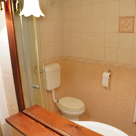 Pr' Pavleto Apartment Bohinj