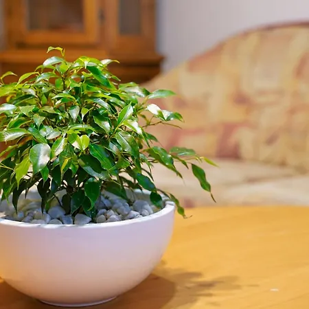 Apartment Pr' Pavleto Bohinj