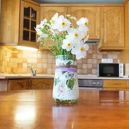 Pr' Pavleto Apartment