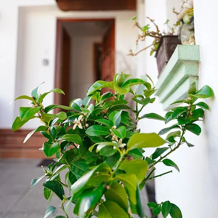 Pr' Pavleto Apartment