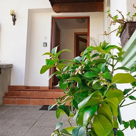 Pr' Pavleto Apartment