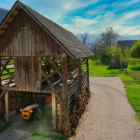 Pr' Pavleto Apartment Bohinj