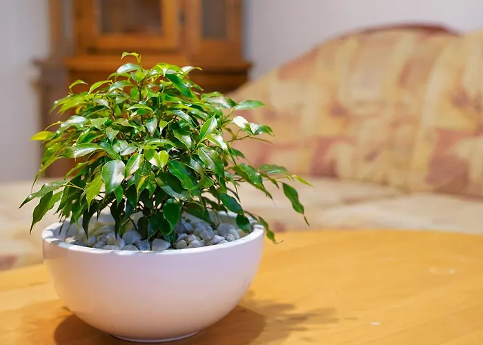 Appartamento Pr' Pavleto Bohinj