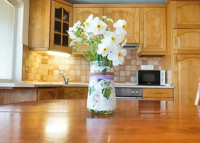 Pr' Pavleto Apartament