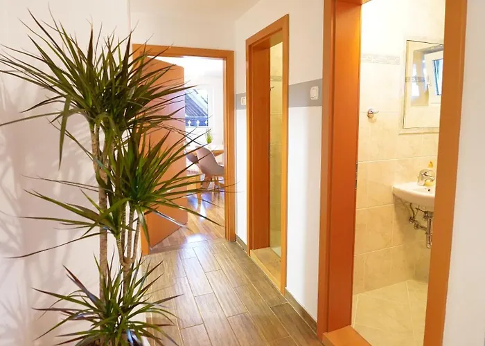 Pr' Pavleto Apartament