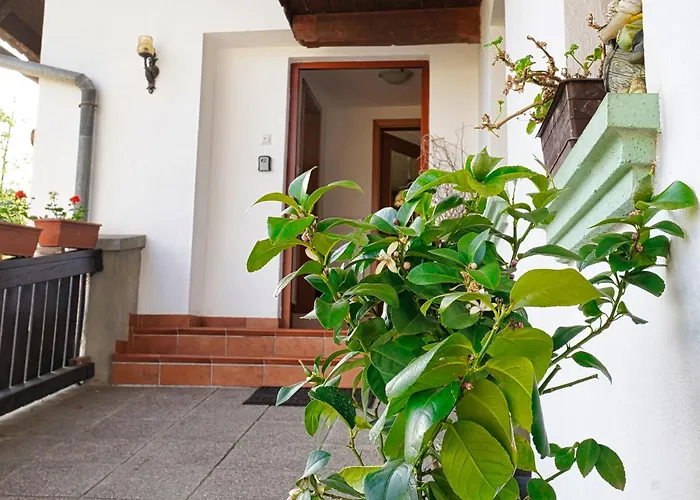 Pr' Pavleto Apartament