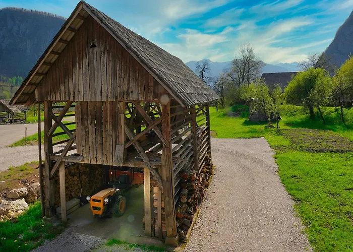 Pr' Pavleto Appartamento Bohinj